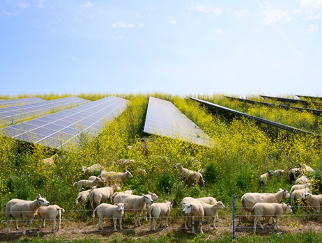 How Agricultural Farms Benefit from Solar Power?