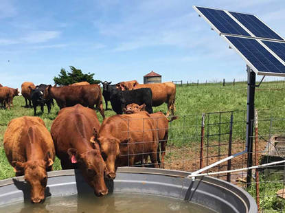 Solar for for Dairy Farms